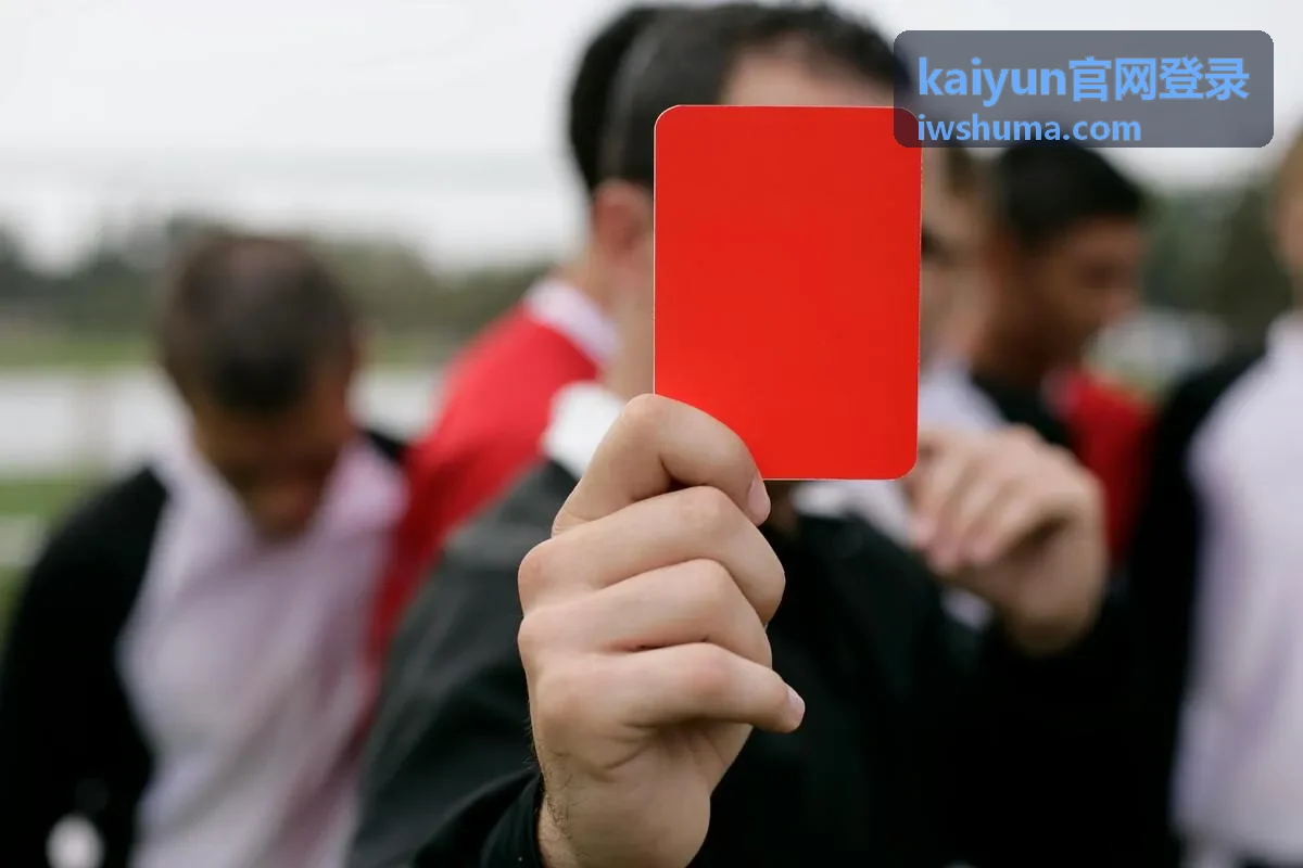 kaiyun官网登录 验证码接收说明