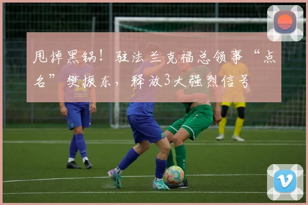 甩掉黑锅！驻法兰克福总领事“点名”樊振东，释放3大强烈信号